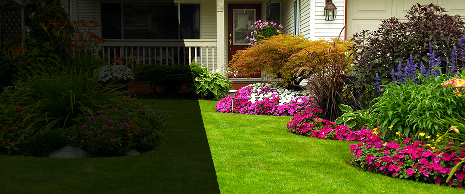 Bonita Landscapers