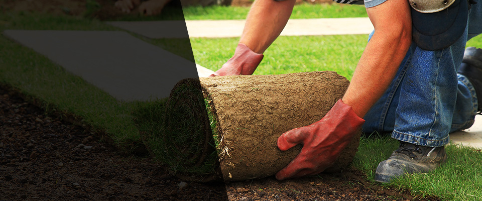Bonita Landscapers